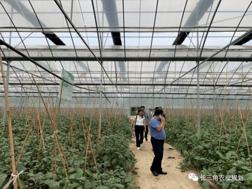 南京中农富通完成溧水区现代农业示范园区调研工作